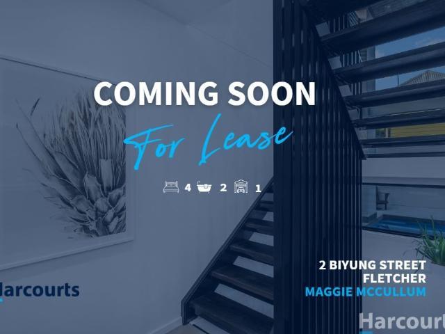2 Biyung Street, Fletcher, NSW 2287
