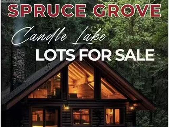 2 Black Spruce Drive, Candle Lake, SK, S0J 3E0 vacant land f.
