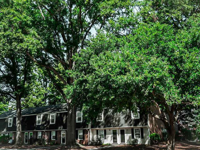 2 BR, 1.5 BA Apartment 420 Clover Ln Unit 416G, Raleigh, NC 27604