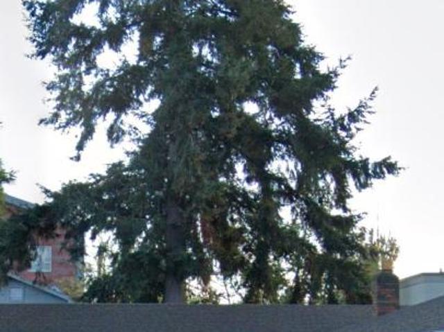 2 Br, 1 bath, Condo 9024 SE Ellis St