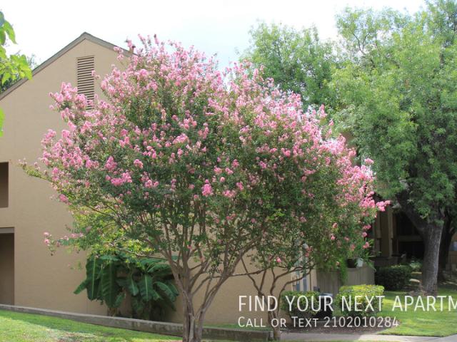 2 BR, 1 BA Apartment Hillcrest & Gentleman, Balcones Heights, TX 78201