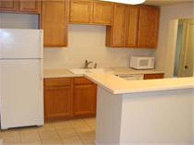 2 BR, 1 BA Apartment 4295 Columbine Dr, Vail, CO 81657