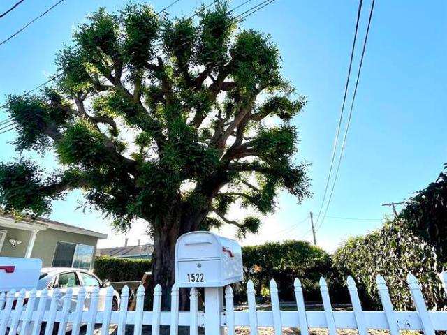 2 BR, 1 BA Apartment 1522 Del Amo Blvd, Torrance, CA 90501
