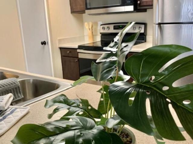 2 BR, 1 BA Apartment 1750 E Bell Rd Unit 155, Phoenix, AZ 85022