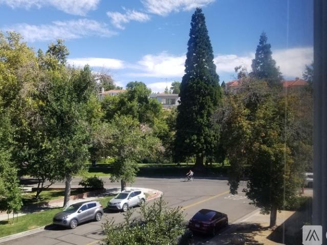 2 BR, 1 BA Apartment 11 Winter Street, Unit 3, Reno, NV 89503