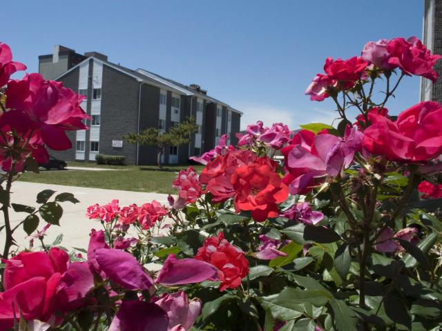 2 BR, 1 BA Apartment 124a North North Carolina Avenue Unit 1 1219, Atlantic City, NJ 08401