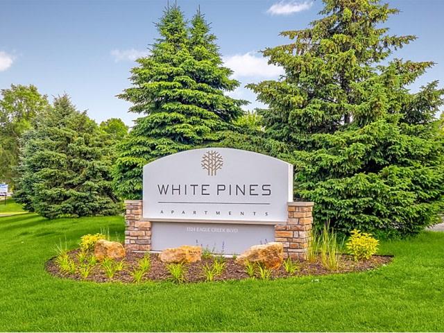 2 BR, 1 BA Apartment 1324 Eagle Creek Blvd Unit 314, Shakopee, MN 55379