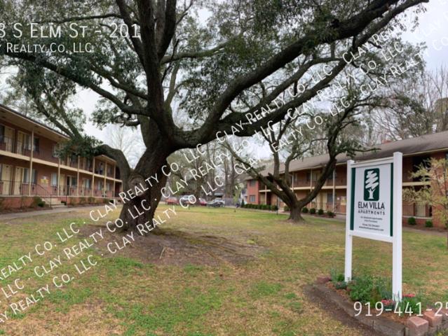2 BR, 1 BA Apartment 208 S Elm St, Greenville, NC 27858