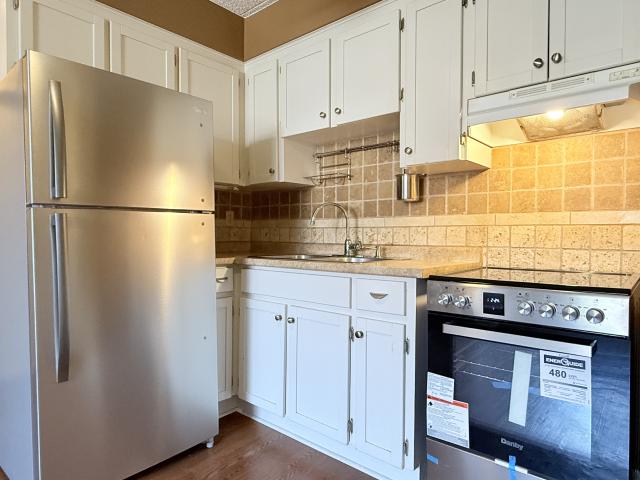 2 BR, 1 BA Apartment 360 Tecumseh Rd W, Windsor, ON N8X 4T7
