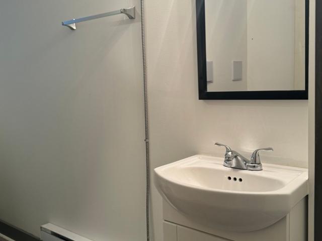 2 BR, 1 BA Apartment 362 Bruce Avenue, Windsor, ON N9A 4W5