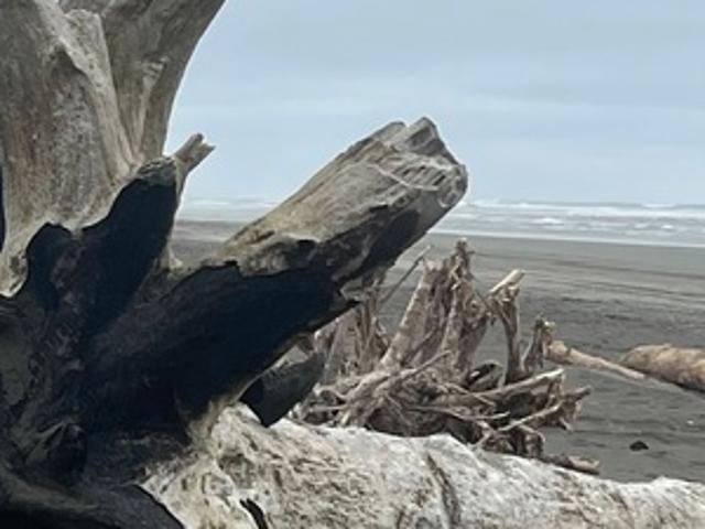 2 BR, 1 BA Apartment 301 Yorkmar St SW, Ocean Shores, WA 98569