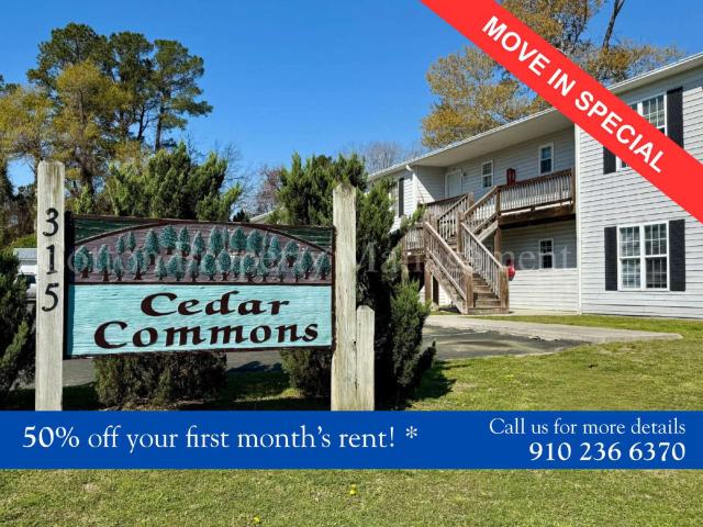 2 BR, 1 BA Apartment 315 South Dudley Street, Burgaw, NC 28425