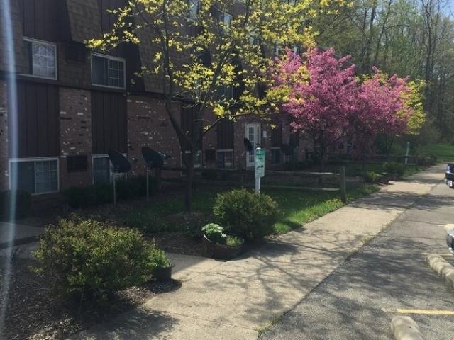 2 BR, 1 BA Apartment 4751 APT 6 Oberlin Ave Lorain, OH 44053