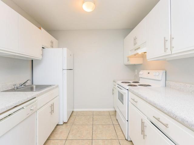 2 BR, 1 BA Apartment 4102 Oak Knoll Ct Unit 01 156, Tampa, FL 33610