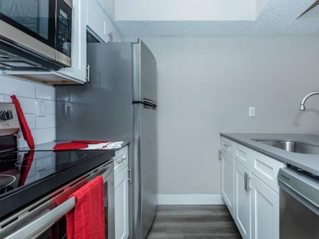 2 BR, 1 BA Apartment 4141 Rosemeade Parkway Unit 8104, Dallas, TX 75287