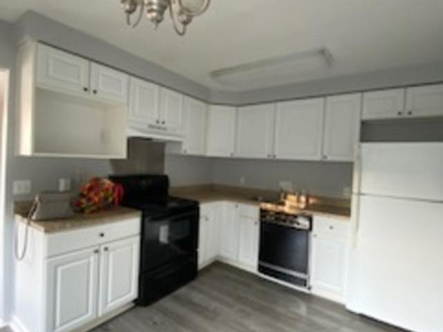 2 BR, 1 BA Apartment 4218 Packard Street, Unit 5, Ann Arbor, MI 48108
