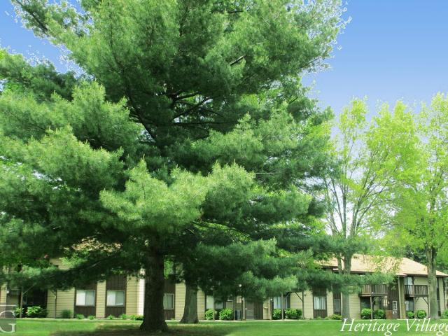 2 BR, 1 BA Apartment 428 E. Elm, Wayland, MI 49348