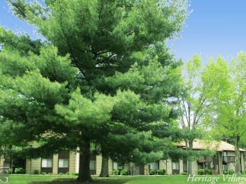 2 BR, 1 BA Apartment 428 E. Elm, Wayland, MI 49348