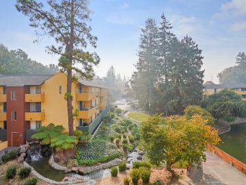2 BR, 1 BA Apartment 707 Continental Circle Unit 1219, Mountain View, CA 94040