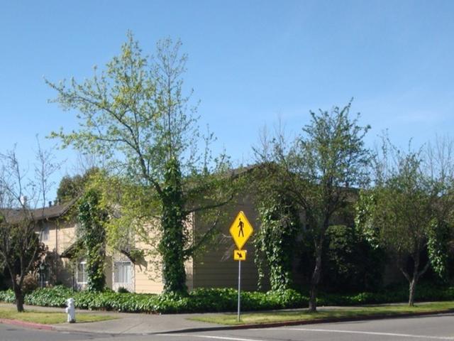 2 BR, 1 BA Apartment 833 Madison Street, Unit A, Fairfield, CA 94533