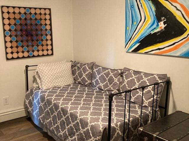 2 BR, 1 BA Apartment 910 West Hallam Street, Unit 3, Aspen, CO 81611