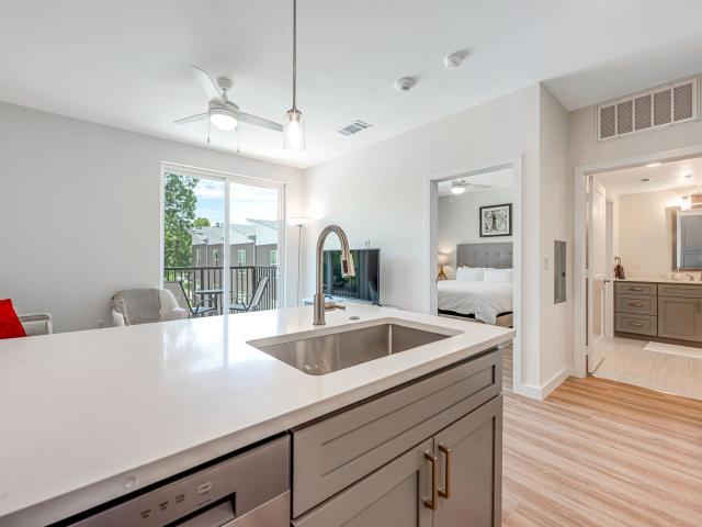 2 BR, 2.5 BA Apartment 850 South Ewing Avenue Unit 2101, Dallas, TX 75203