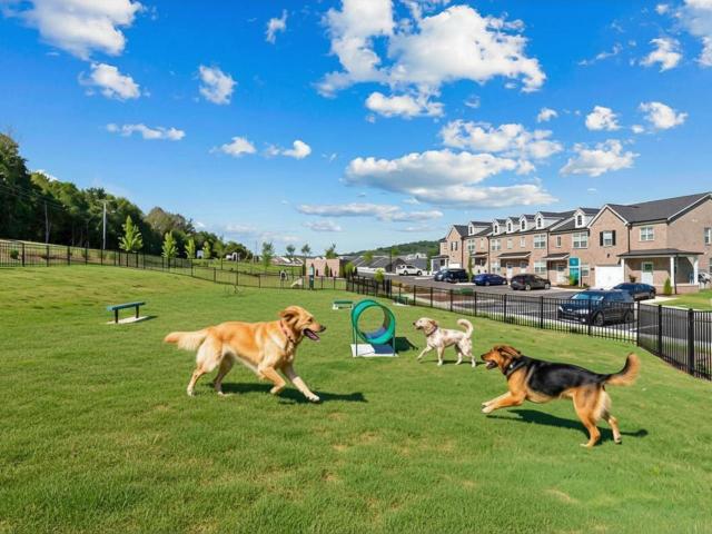 2 BR, 2.5 BA Apartment 8706 Rocky Fork Almaville Rd Unit 832, Smyrna, TN 37167