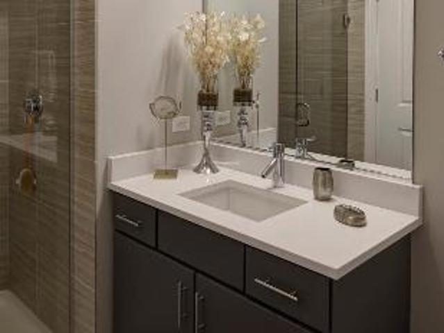 2 Br, 2 bath, Apartment 850 S Clark St