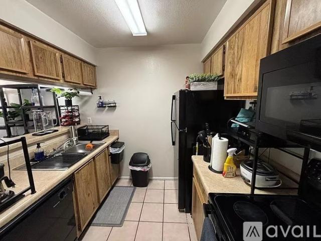 2 BR, 2 BA Apartment 14415 Hanging Moss Circle, Tampa, FL 33613