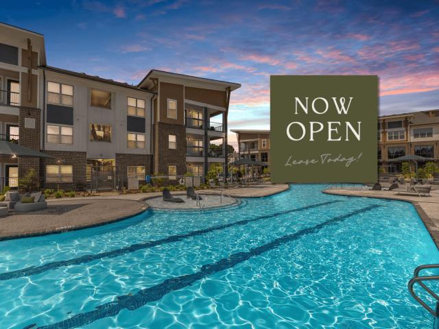 2 BR, 2 BA Apartment 14701 Vintage Preserve Parkway Unit 3412, Houston, TX 77070