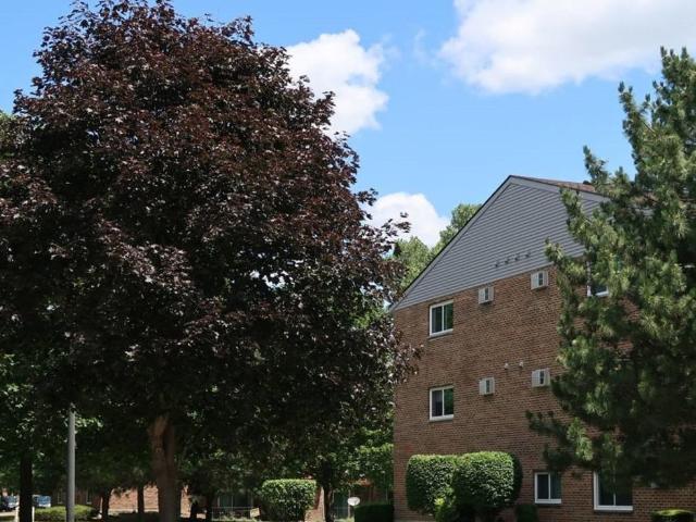 2 BR, 2 BA Apartment 103 South Testa Drive Unit 108101, Naperville, IL 60540
