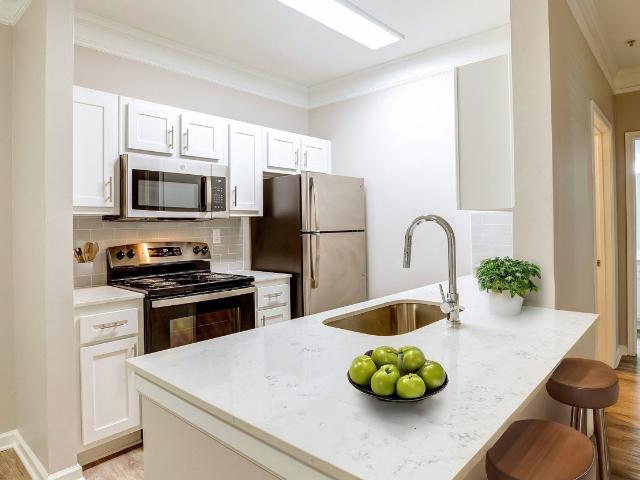 2 BR, 2 BA Apartment 100 Preston Creek Dr Unit 433, McDonough, GA 30253