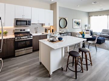 2 BR, 2 BA Apartment 100 River Mews Lane Unit 002 425, Edgewater, NJ 07020