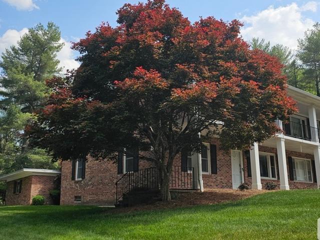 2 BR, 2 BA Apartment 102 Boyd Drive, Unit 3B, Flat Rock, NC 28731