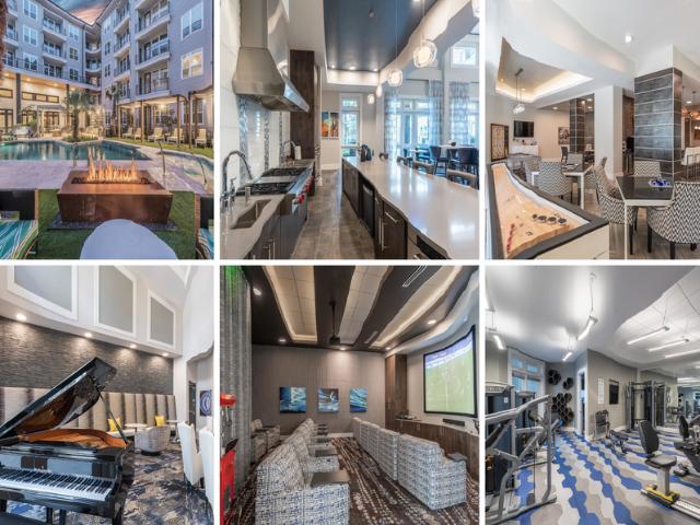 2 BR, 2 BA Apartment 11104 Domain Dr, Oak Hill, TX 78758