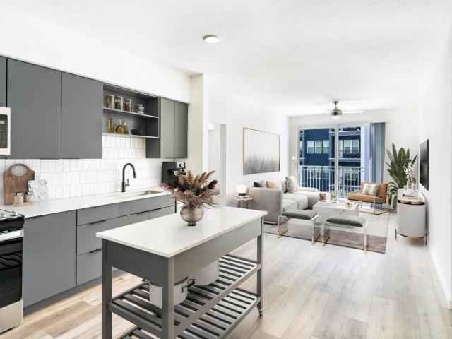 2 BR, 2 BA Apartment 1150 Hank Ballard Street Unit 742, Tampa, FL 33602