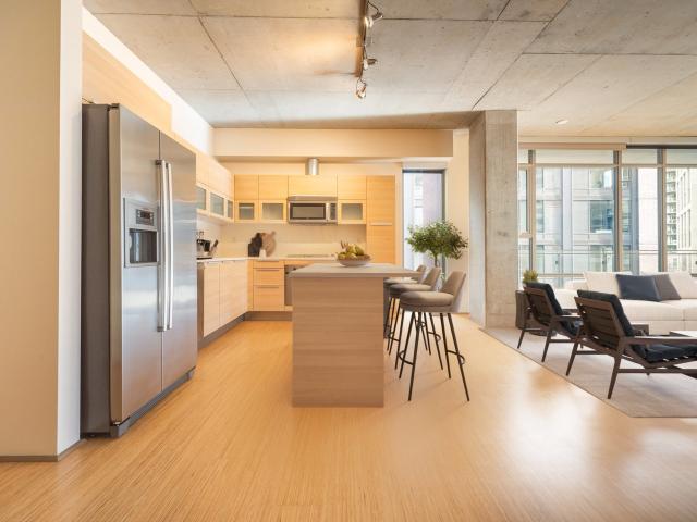 2 BR, 2 BA Apartment 120 Westlake Avenue N Unit 0925, Seattle, WA 98109