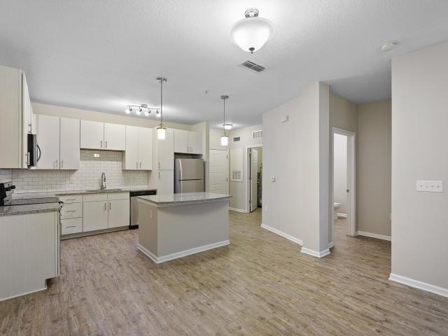 2 BR, 2 BA Apartment 13306 Canopy Grove Drive Unit 46 312, Tampa, FL 33625