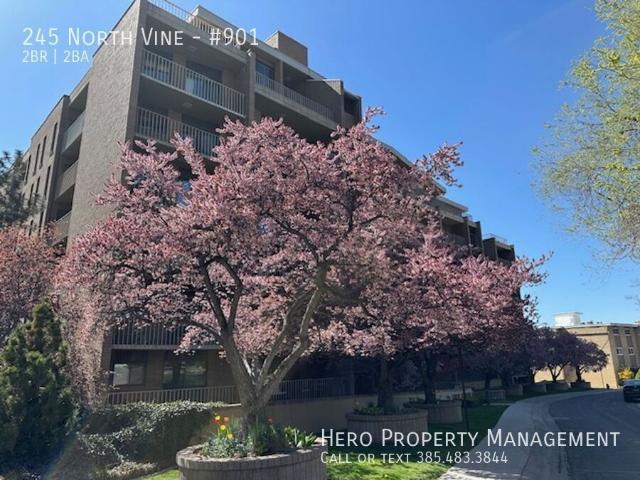 2 BR, 2 BA Apartment 245 North Vine, Salt Lake City, UT 84103