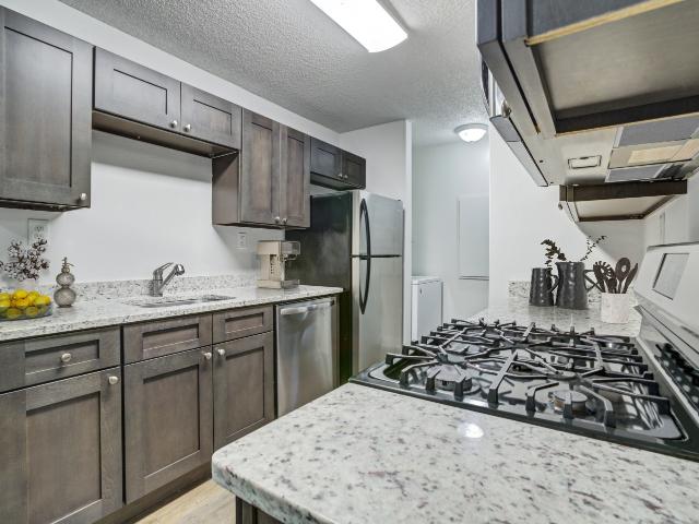 2 BR, 2 BA Apartment 2510 NE 9th Street Unit 204, Gainesville, FL 32609