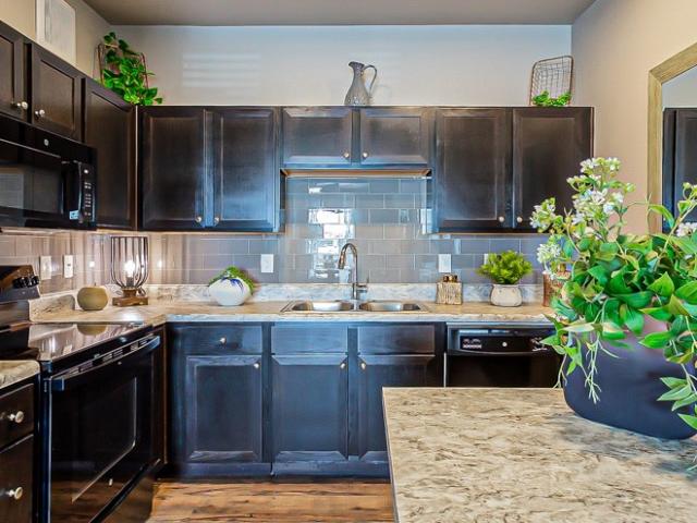 2 BR, 2 BA Apartment 2015 Escala Parkway Unit 04302, San Antonio, TX 78251