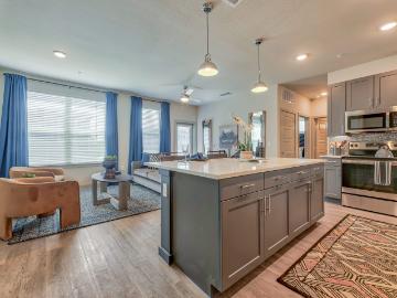 2 BR, 2 BA Apartment 2149 Anderson Gibson Road Unit 1301, Grapevine, TX 76051