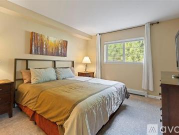 2 BR, 2 BA Apartment 233 Pelican Cir, Unit 1503, Breckenridge, CO 80424