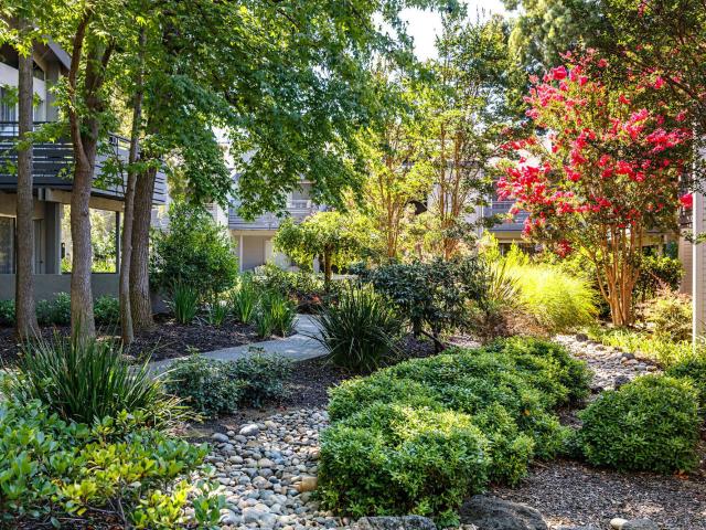 2 BR, 2 BA Apartment 235 Bernardo Ave Unit 0202, Mountain View, CA 94043