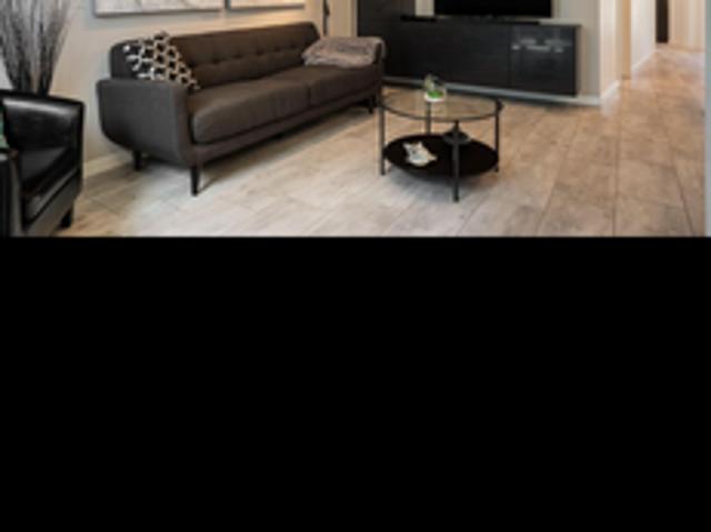 2 BR, 2 BA Apartment 3600 Central Ave SE, Unit 210, Albuquerque, NM 87108