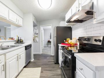 2 BR, 2 BA Apartment 3831 Northgreen Avenue Unit 1209, Tampa, FL 33624