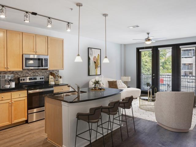 2 BR, 2 BA Apartment 300 North Lamar Boulevard Unit 203, Austin, TX 78703