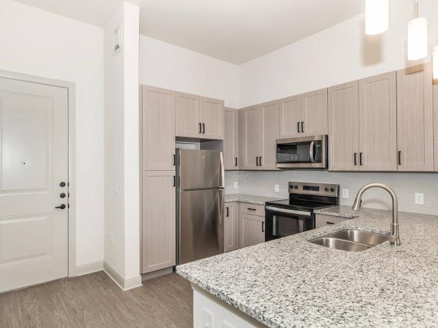 2 BR, 2 BA Apartment 301 South Corinth Street Road Unit 1204, Dallas, TX 75203