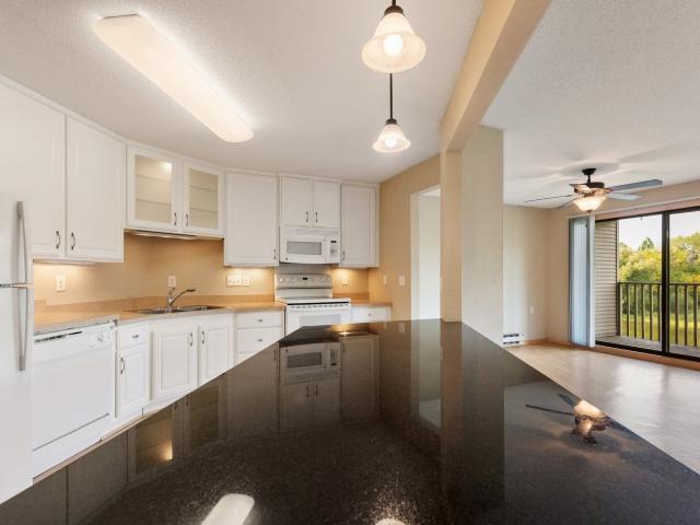 2 BR, 2 BA Apartment 3185 Karth Road Unit 234, Saint Paul, MN 55110