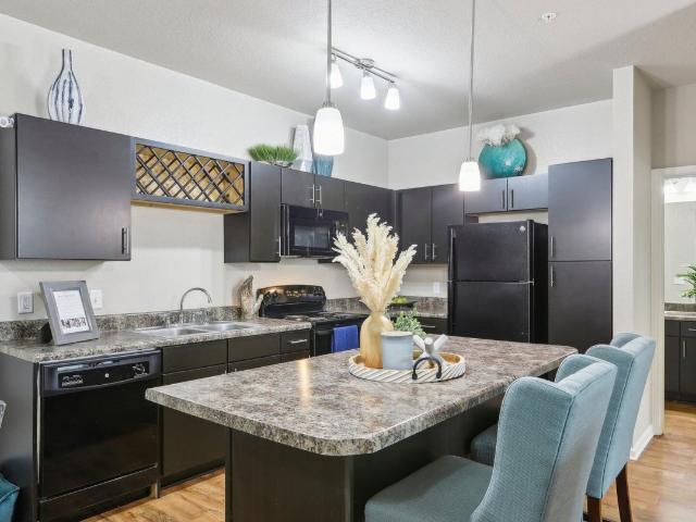 2 BR, 2 BA Apartment 325 South Point Blvd Unit 1121, McDonough, GA 30253